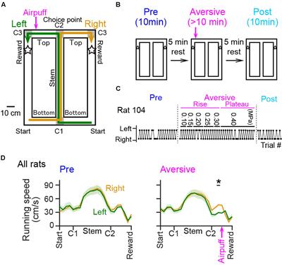 Spatial Representation of Hippocampal Place Cells in a T-Maze with an Aversive Stimulation